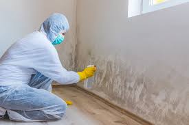 Best Crawl Space Mold Remediation  in Kaloko, HI