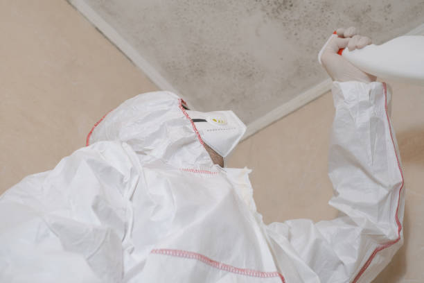 Best Emergency Mold Remediation  in Kaloko, HI